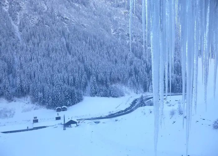 Haus Wildbach شقة